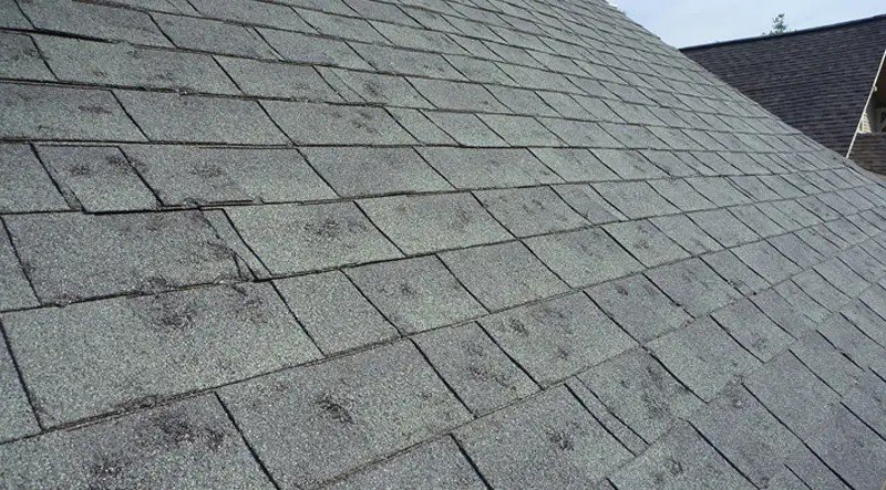Shingle roof slope covered in scattered dark hail impact marks across the shingles